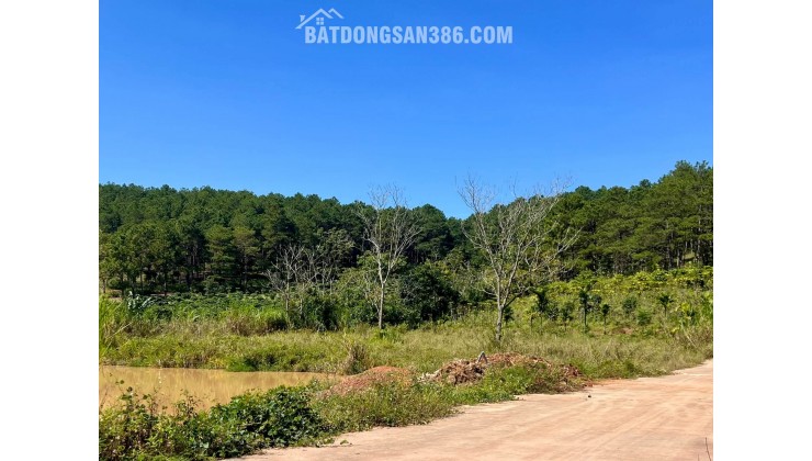 Cần Bán Đất 309m², 209m² Đất Ở, 2 Mặt Tiền, Giữa Đồi Thông